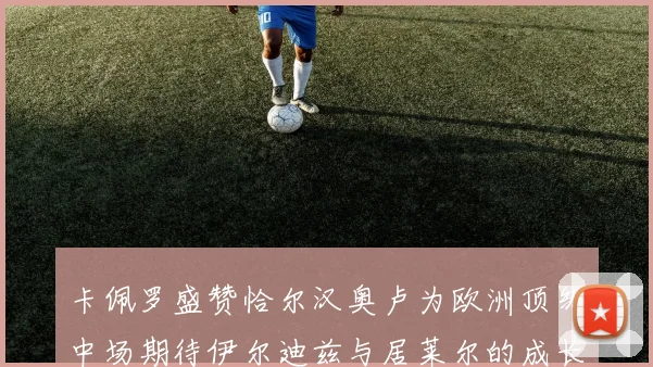 卡佩罗盛赞恰尔汉奥卢为欧洲顶级中场期待伊尔迪兹与居莱尔的成长