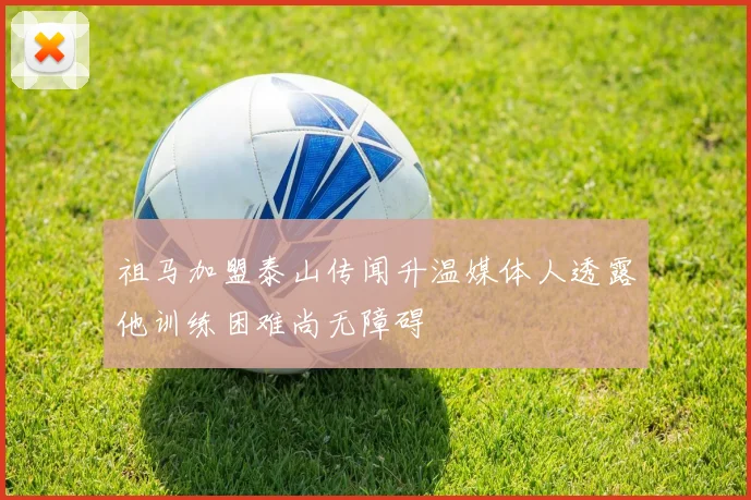 祖马加盟泰山传闻升温媒体人透露他训练困难尚无障碍